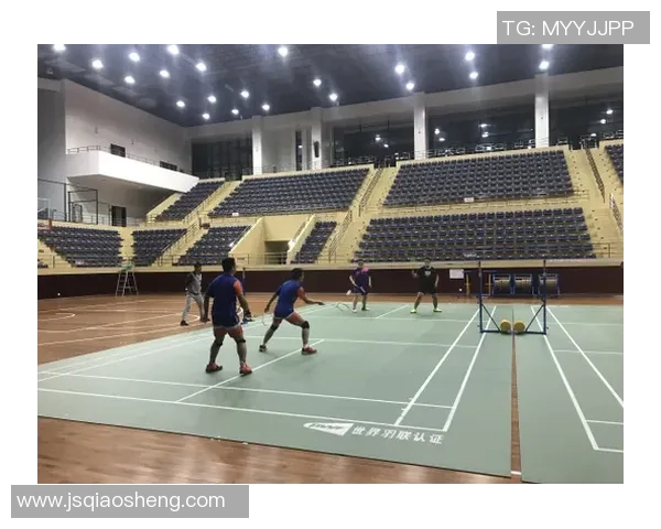 重庆羽毛球队的战术解析与阵地战深度剖析